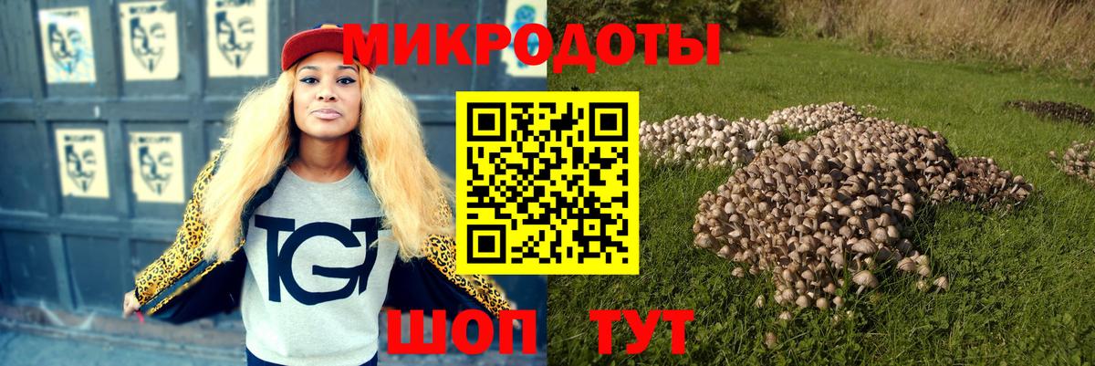 Псилоцибиновые грибы GOLDEN TEACHER Гусь-Хрустальный